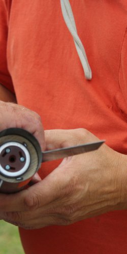 img_2166 ros ponorena do trupu